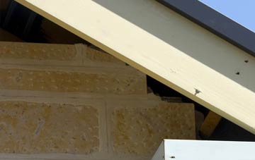soffit repair Houghton Green